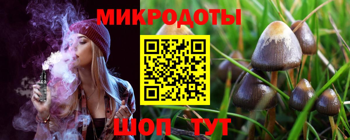 Псилоцибиновые грибы Psilocybine cubensis Комсомольск-на-Амуре
